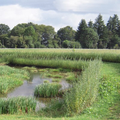 Les Hauts de Glos